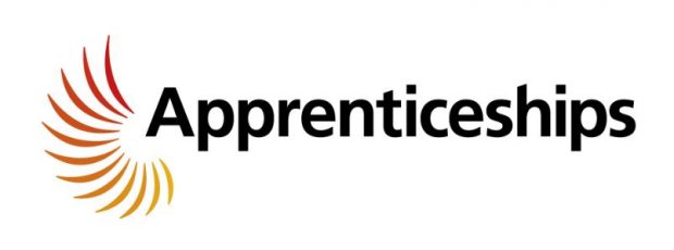 The apprenticehips logo